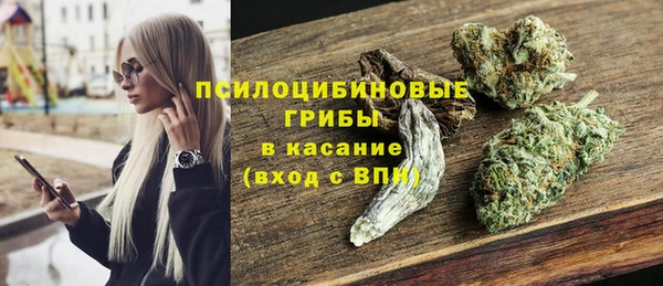 PSILOCYBIN Нея
