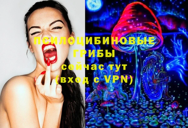 PSILOCYBIN Нея