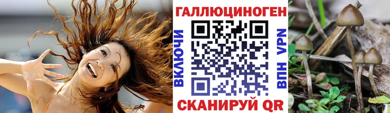 Псилоцибиновые грибы Magic Shrooms Пыть-Ях