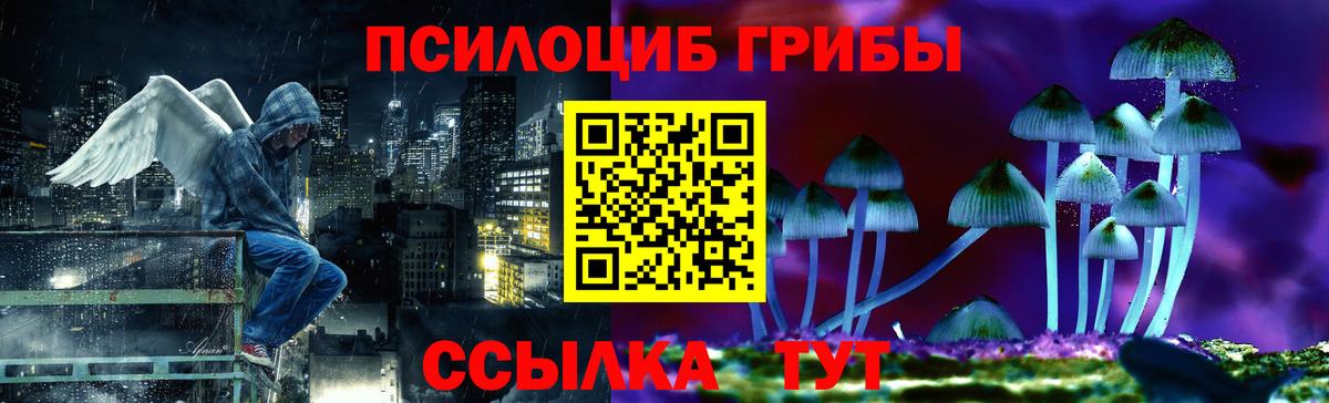 Псилоцибиновые грибы мицелий Пыть-Ях